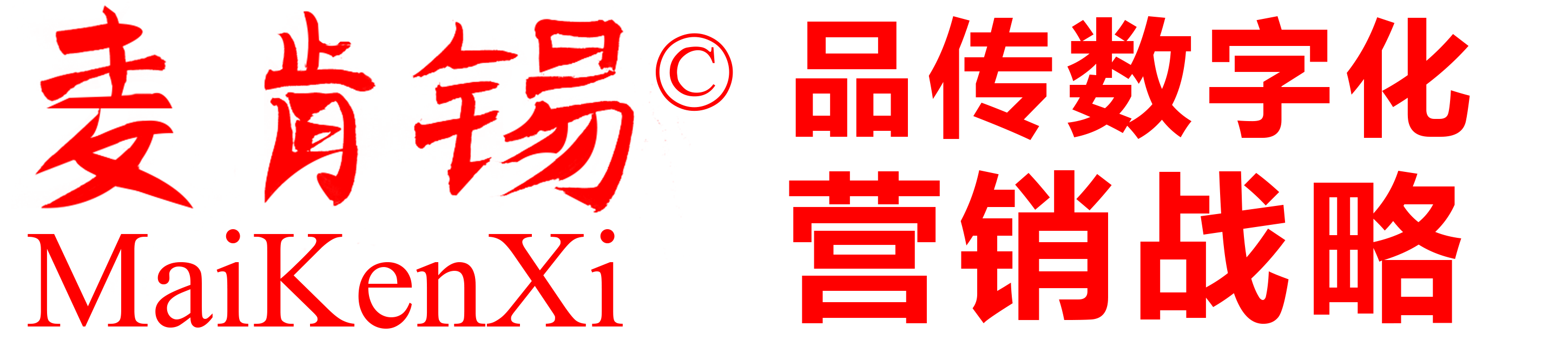麦肯锡-品传数字化营销战略